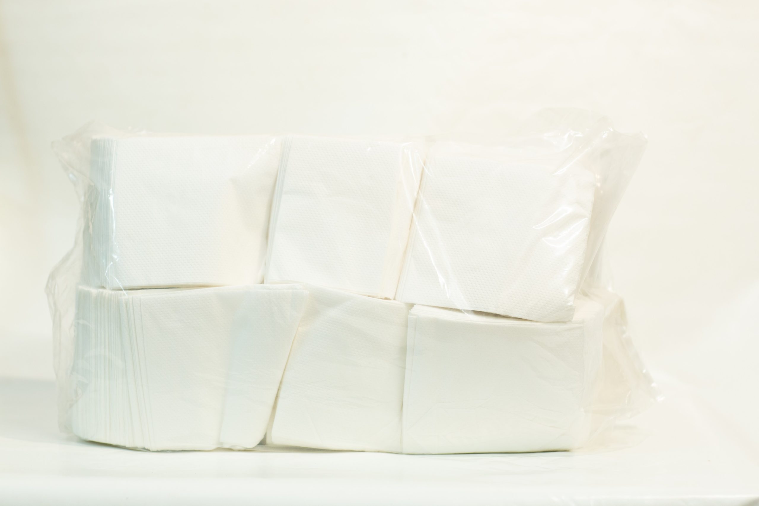 Serviettes 2 Ply (1000)